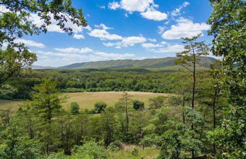 Shenandoah Retreat - Family Home - Foto 72