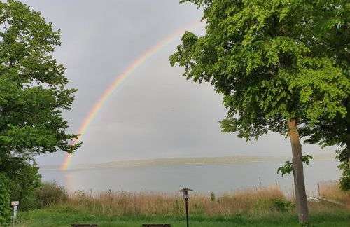 Villa Seeschwalbe Plau - Foto 35