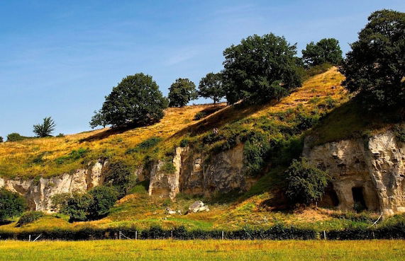 Chalet in Ulestraten Near Maastricht - Foto 36