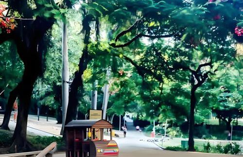 Laranjeiras Cristo Redentor - Photo 41