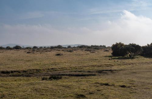 Finest Retreats - Trippet Cottage at Bodmin Moor - Foto 29