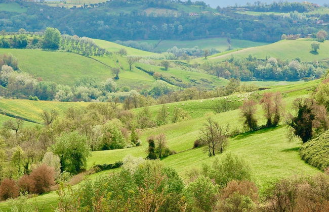 Villa in Magliano Sabina With Private Pool - Photo 37