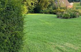 Hus op de Wurth Ferienwohnung 7 - Foto 13