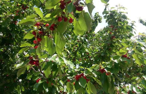 Douro Balcony - Foto 54