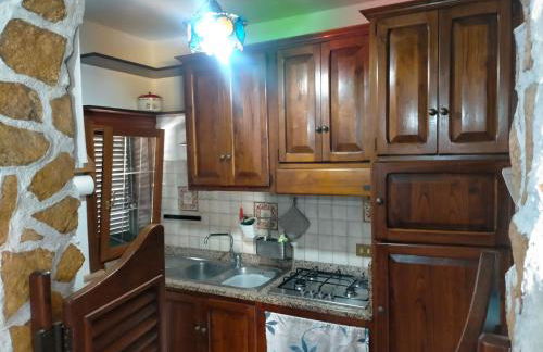 Il gelsomino - Foto 13