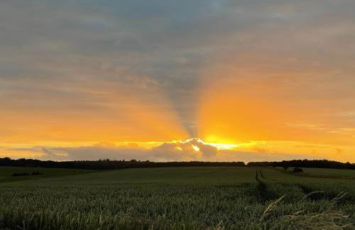 The Old Chapel - Photo 35