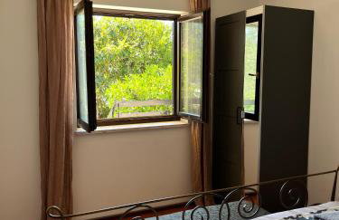 Apartmani Zora - Foto 56