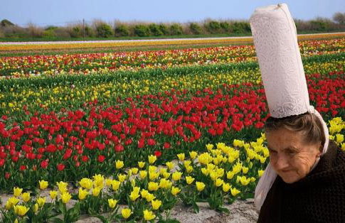 Maison historique - cour - centre-ville -plage 10 mn - Foto 36