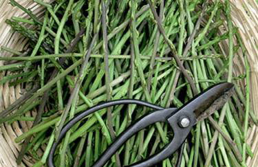 Alonaki Tinos Rental Cottage house - Foto 46