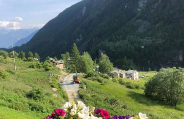 Baita Chalet La Masun beautiful view - Foto 47