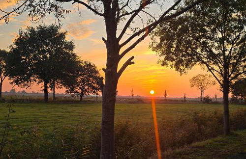 GästeKate - Foto 20