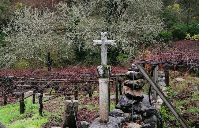 O Cruceiro - Photo 38