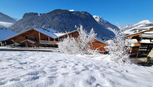 Les Chalets du Petit Châtel - Foto 2