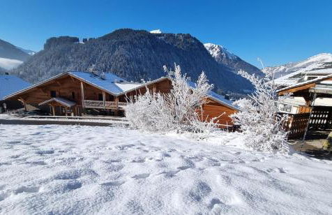 Les Chalets du Petit Châtel - Foto 2
