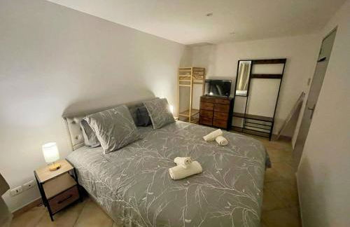 Vous viendrez vivre ici , 3 pièces châtaignier garage à moto - Foto 11