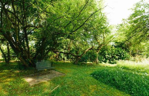 Feriendomizil Alter Garten - Photo 31