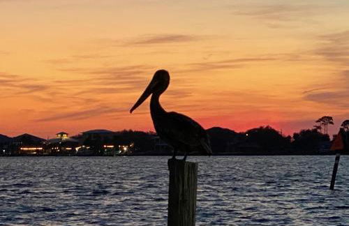 Pensacola Beach Gulf-Front 2BR Condo with Pool & Hot Tub - Photo 40