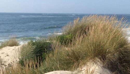 Esposende Resort - Golf, Beach, River, Tennis, Pool - Foto 4