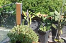 Terraço dos Léo's - Foto 11