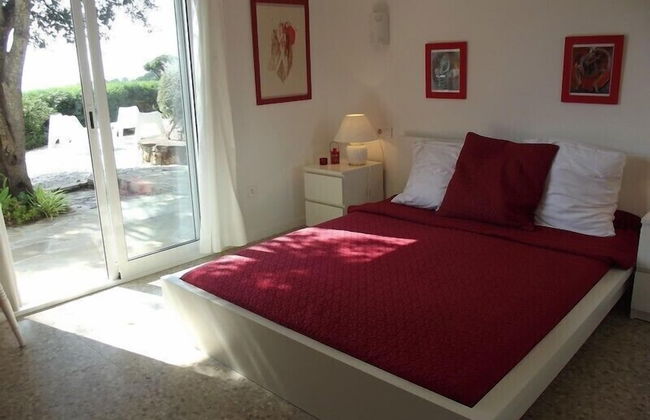 Danlux Palmera - Foto 3