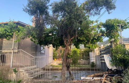 Patras Ressort - Foto 12