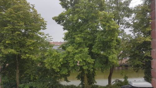 1B App à neuf tout équipé - Foto 5