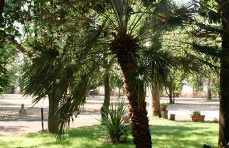 Agriturismo La Giannottola - Foto 23