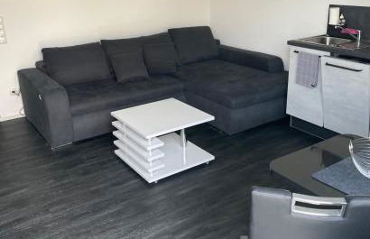 Apartments Saaldorf-Ferienhaus mit 6 Apartments 45qm-120qm direkt am Thüringer Meer-Bleilochtalsperre - Foto 63