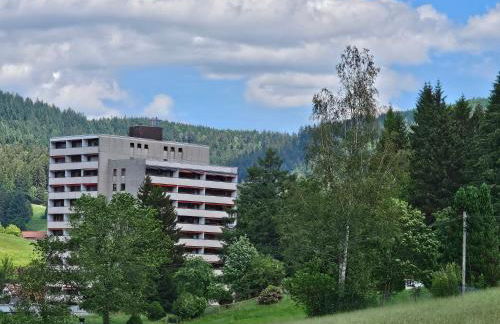 Ferienwohnung Vogelnest im Schwarzwald - Foto 32