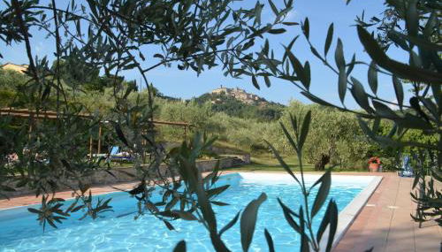 Agriturismo Il Monte - Piscina tra gli Ulivi, Maneggio con Cavalli e WIFI - Photo 2, Garden, Garden view