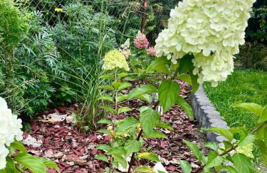 Madi Apartamenty - Photo 22