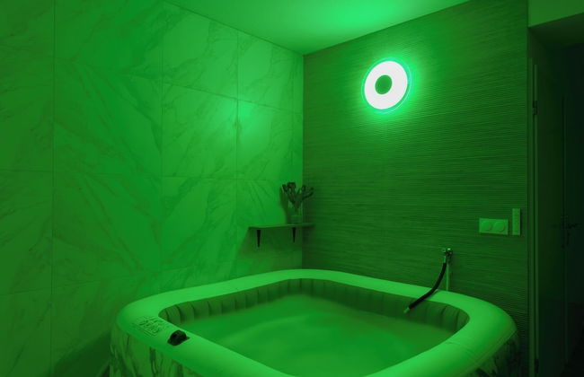 1BR Paris 10th Gare du Nord Stade France - Foto 10