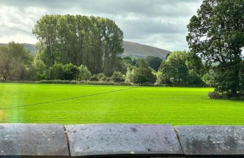 The Lawley - Photo 51