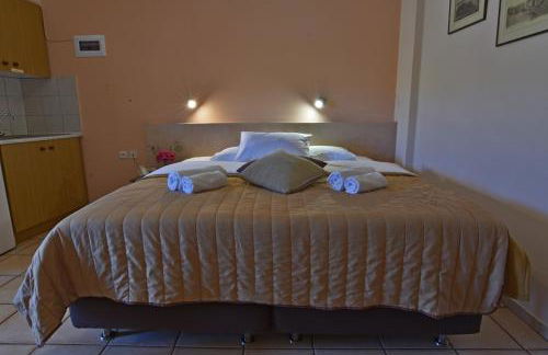 Sarris Planet - Photo 21