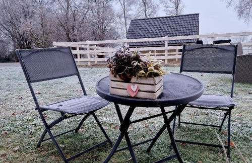 Moorparadies FRI-Südliches Friesland - Foto 15