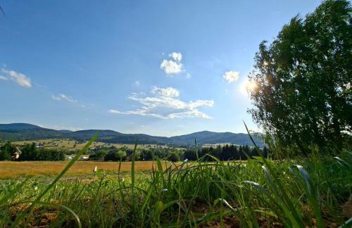 Brzozowe Wzgórze - Foto 5