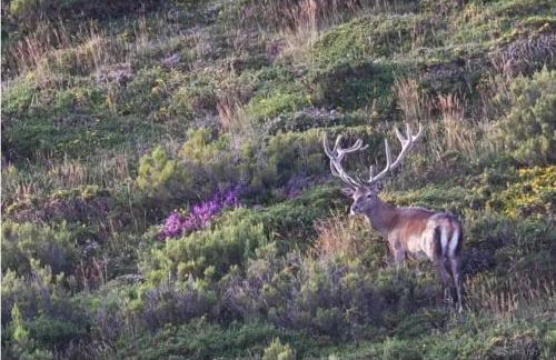 Casa rural La Bárcena Saja - Foto 4