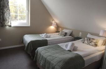 Róża Sudetów Domek - Foto 4