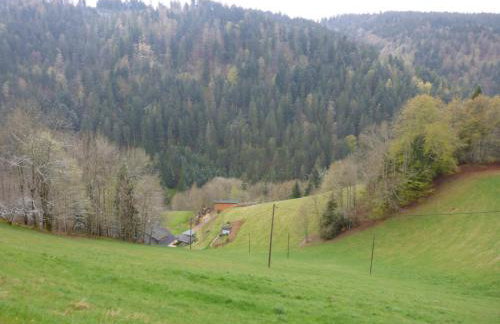 Fewo Kaspershäusle: Alleinlage mitten im Wald - Foto 8