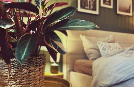 Red Chapel - Foto 15