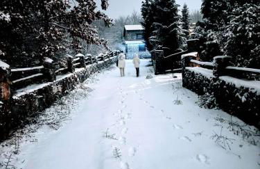 Forest House - Foto 19