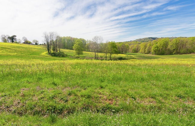 Elegant House With Heated Pool and Sauna - Photo 36