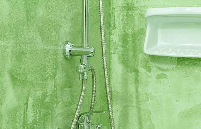 Sunrise Stef - Foto 15