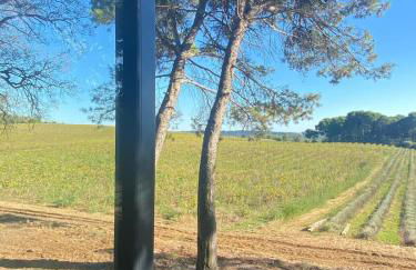 Tiny-House Grand Confort - Salle de bain italienne - Lit King - 10 min A7 - Foto 35