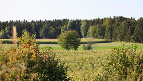 Birkenhäusle Trautmannshofen - Foto 5
