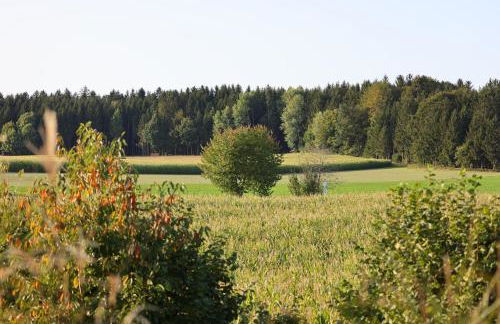 Birkenhäusle Trautmannshofen - Foto 5