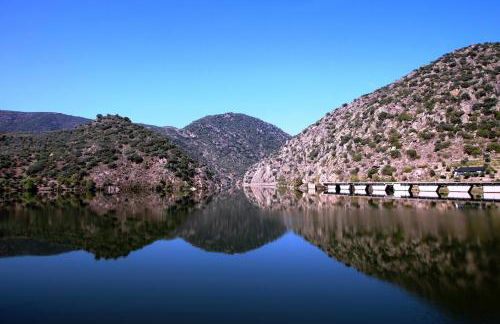 Douro Yacht Charter & Bungalows - Foto 7