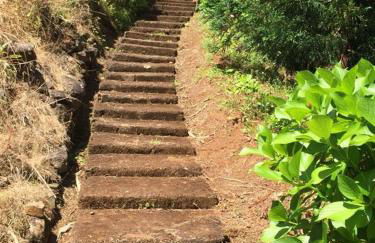 Casa d'Olívia - Photo 17