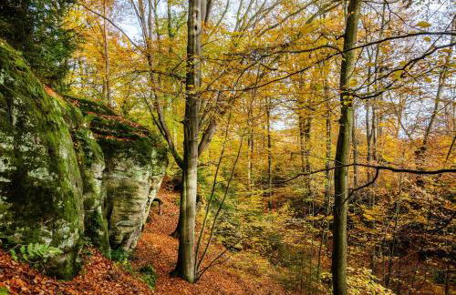 Gästezimmer für 3 Personen - Foto 30