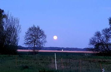 Ferienwohnung Thees - Foto 2